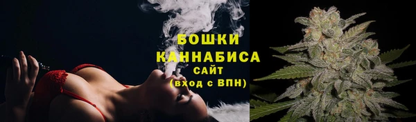 винт Ладушкин