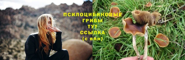 винт Ладушкин