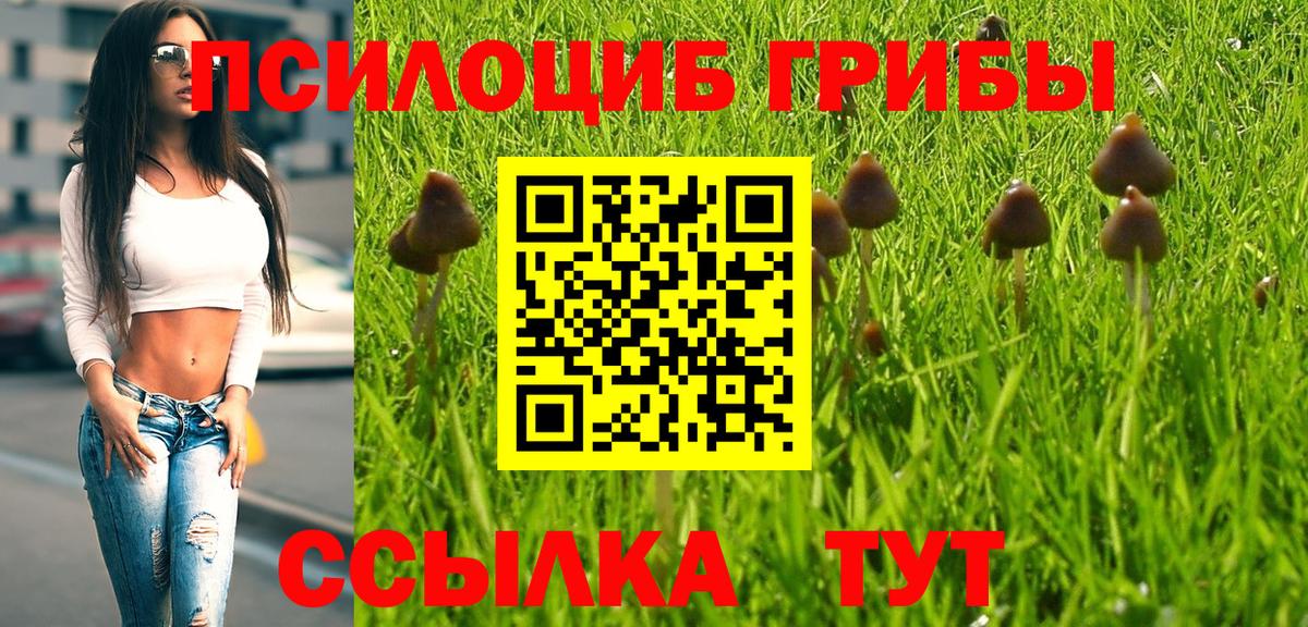 Псилоцибиновые грибы Psilocybe  Галлюциногенные грибы Psilocybine cubensis  Вход с VPN  Топки 