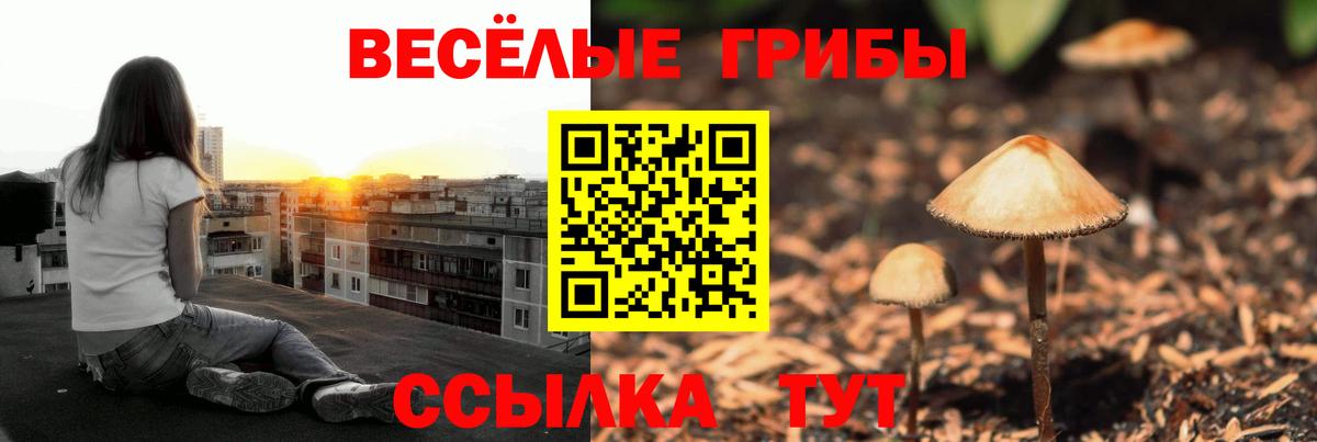 Псилоцибиновые грибы Magic Shrooms Топки